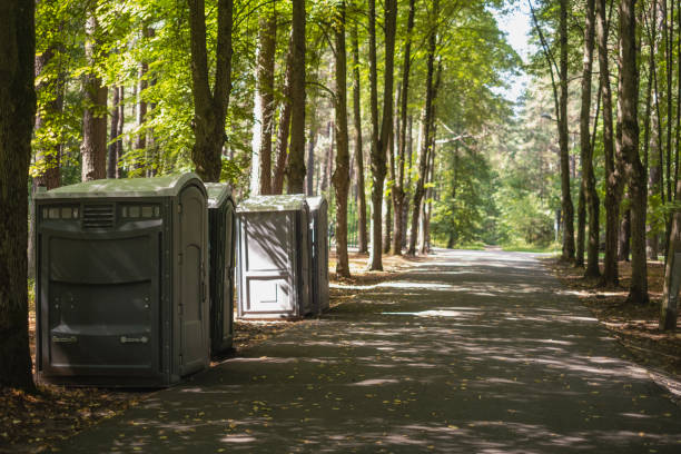 Best Best portable toilet rental  in Cobden, IL